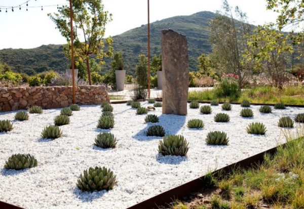 Plantas de flores silvestres para un paisaje de bajo mantenimiento - American Meadows Blog