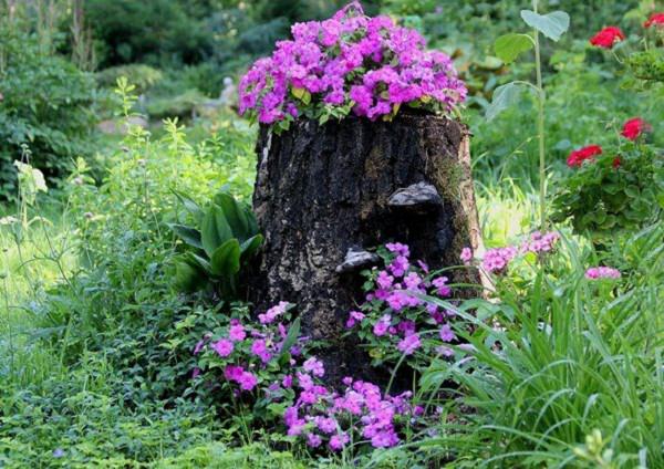 Tree stump planter #flowerpot #planter #gardens #gardenideas #gardeningtips #decorhomeideas