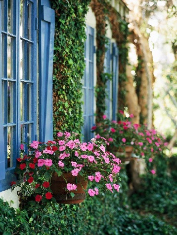 Container Garden