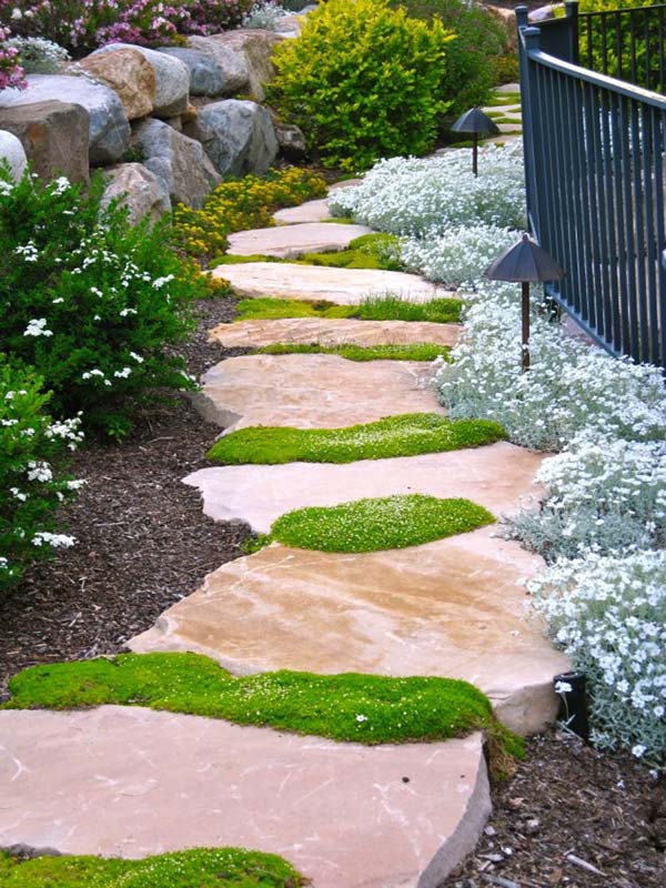 Stepping stone grass #garden #diy #gardenideas #pathway #alley #gardening #landscaping #outdoordesign #backyard #decorhomeideas