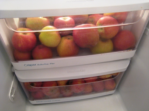 Apples last longer when stored properly #apple #storage #food #tips #kitchen #decorhomeideas