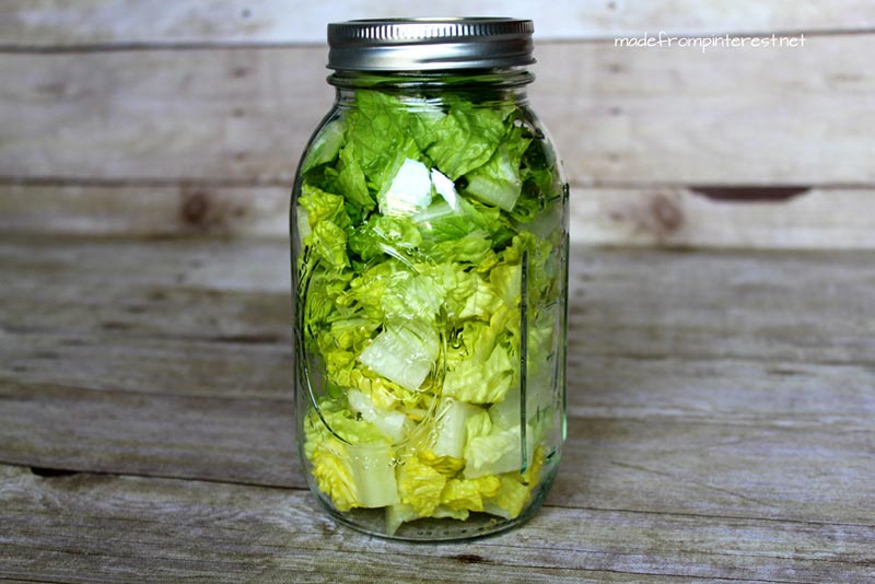 Lettuce in a jar storage #storage #food #tips #kitchen #decorhomeideas