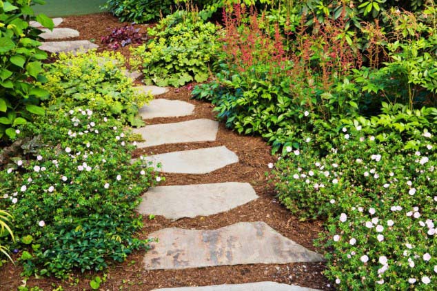 Simple pathway #garden #diy #gardenideas #pathway #alley #gardening #landscaping #outdoordesign #backyard #decorhomeideas