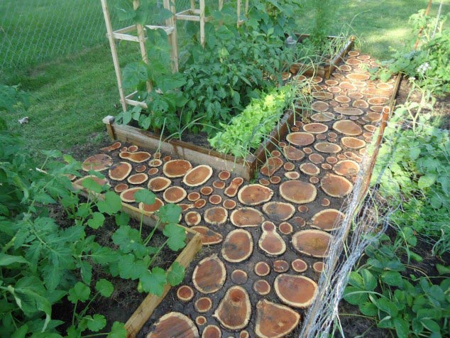 Stepping stone grass #garden #diy #gardenideas #pathway #alley #gardening #landscaping #outdoordesign #backyard #decorhomeideas