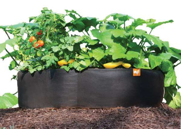 Amazing option! #garden #raisedbed #planters #diy #landscaping #flower #vegetables #guide #decorhomeideas