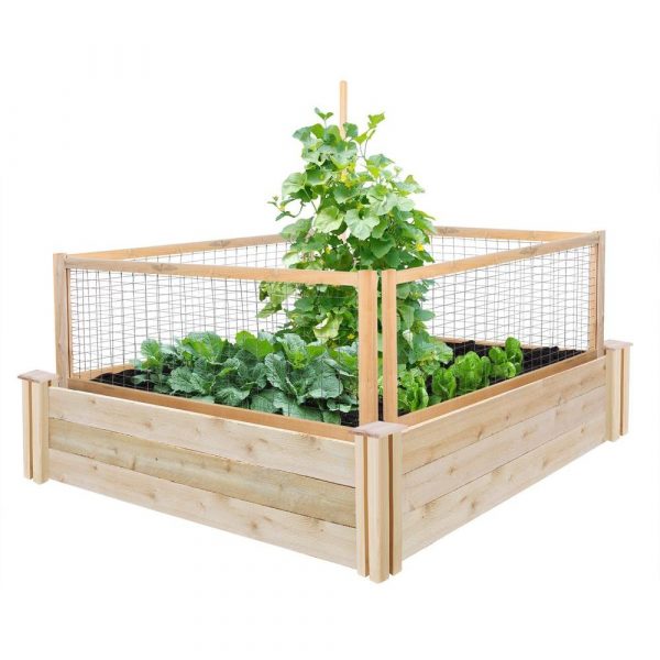 Animal barrier #garden #raisedbed #planters #diy #landscaping #flower #vegetables #guide #decorhomeideas