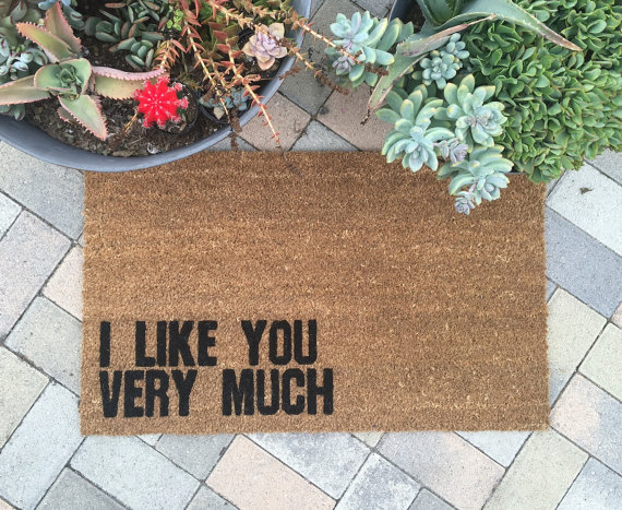 I like you very much