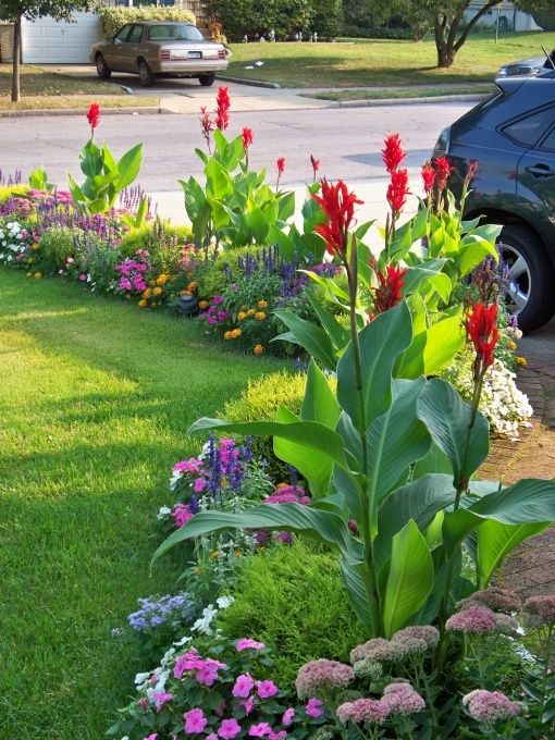 Beautiful colorful border with flowers garden idea #gardens #gardening #gardenideas #gardeningtips #decorhomeideas