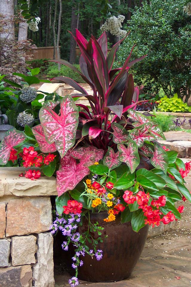 Colorful flower arrangement garden idea #gardens #gardening #gardenideas #gardeningtips #decorhomeideas