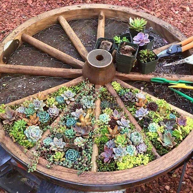 Green wheel garden decoration idea #gardens #gardening #gardenideas #gardeningtips #decorhomeideas