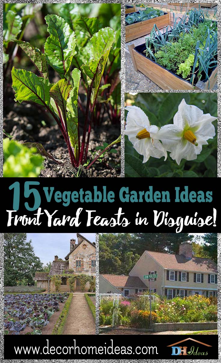 15 Vegetable Garden Ideas Front Yard Feasts In Disguise Decor 15 Vegetable Garden Ideas Front Yard Feast In Disguise Grown Your Own