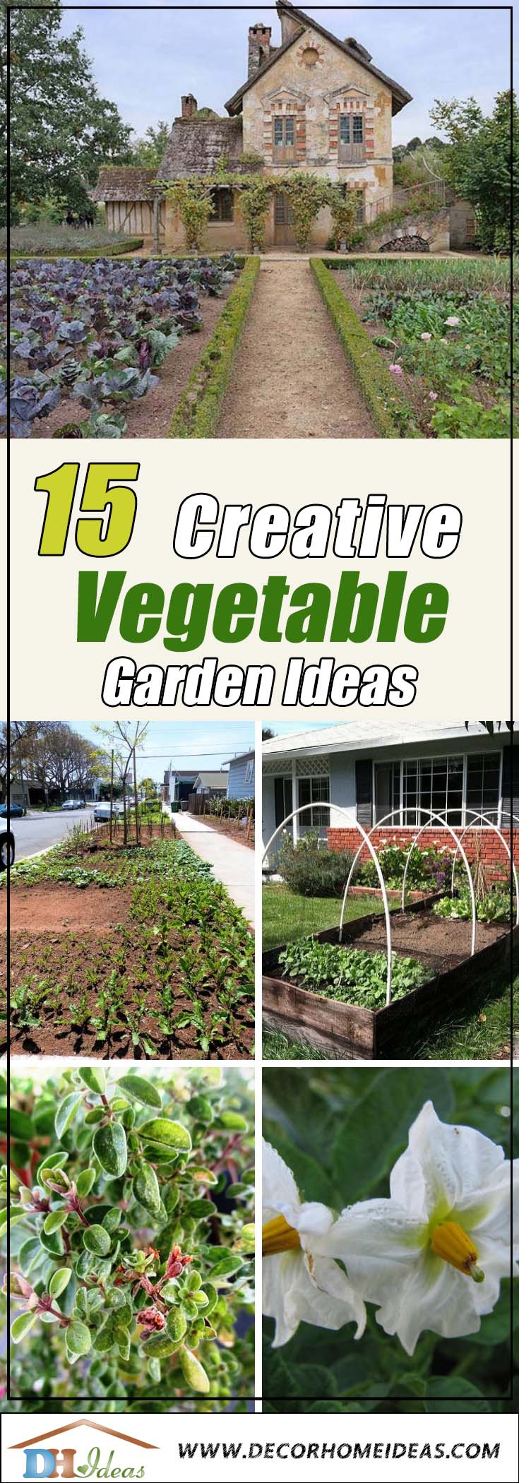 15 Vegetable Garden Ideas Front Yard Feast In Disguise | Grown your own front yard vegetable garden with these tips #gardens #gardening #gardenideas #vegetables #gardeningtips #decorhomeideas