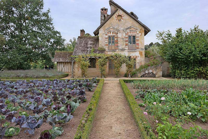 European roots medieval heritage #gardens #gardening #gardenideas #vegetables #gardeningtips #decorhomeideas