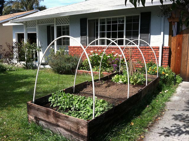 Tidy contemporary raised beds #gardens #gardening #gardenideas #vegetables #gardeningtips #decorhomeideas