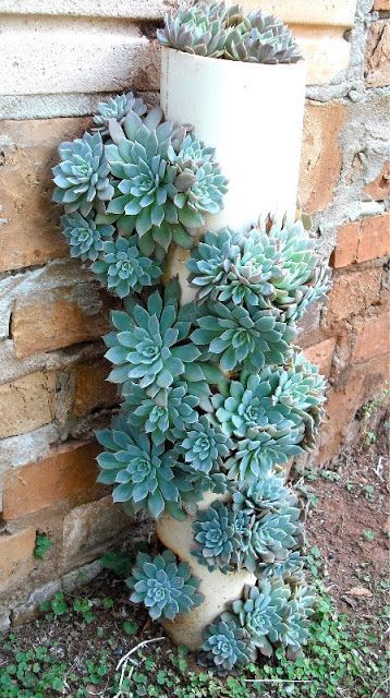 Pvc pipe succulent garden idea #diy #pvcpipes #homedecor #decoratingideas #pvc #decorhomeideas #succulents