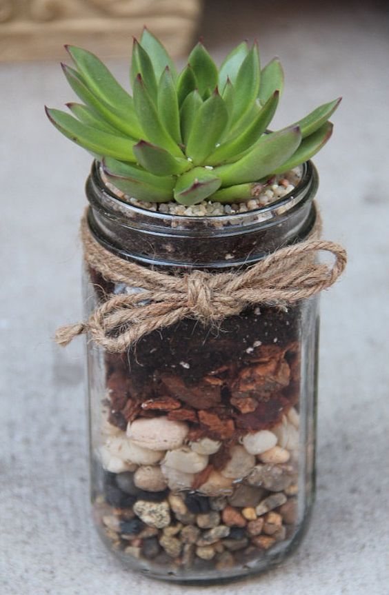 Succulent glass jar decor idea #jars #recycledjars #decoratingideas #homedecor #decorating #diy #home #decorhomeideas