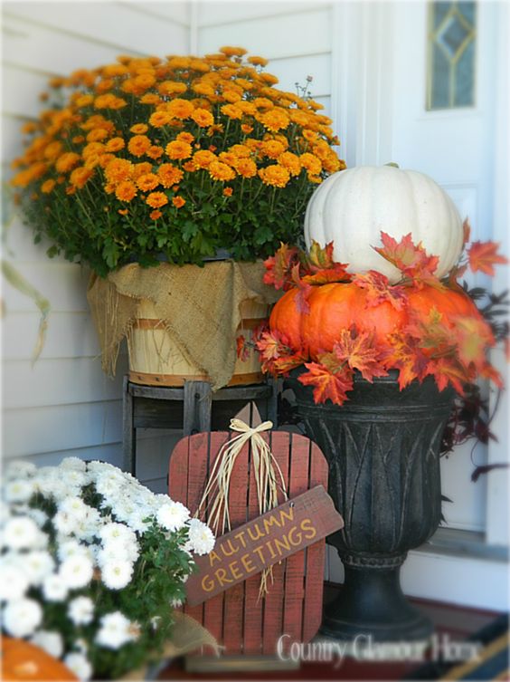 Colorful mums and pumpkins fall front porch decoration #frontdoor #porch #decor #falldecor #pumpkin #autumn #decoratingideas #homedecor #decorhomeideas