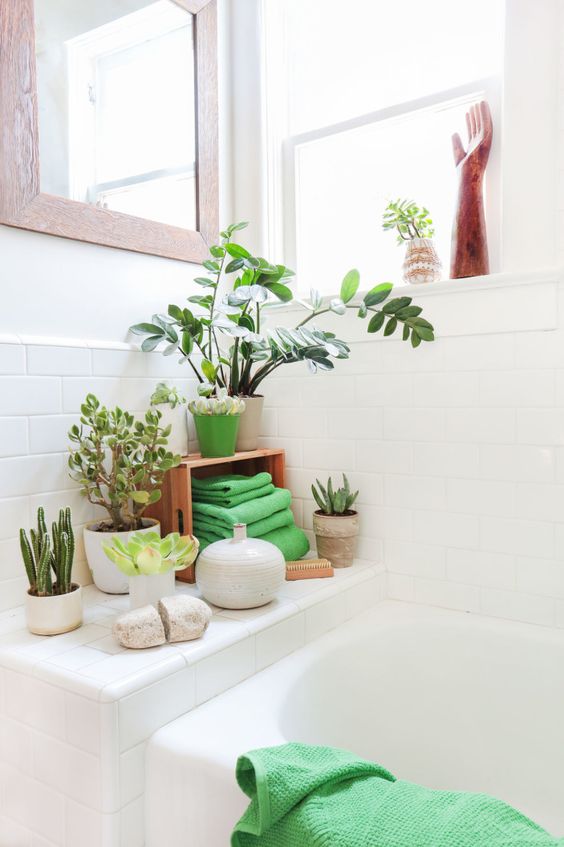 Use green plants for zen spa style bathroom #spadecor #bathroom #homespa #spahome #relaxhome #spa #homedecor #decoratingideas #spadesign #decorhomeideas