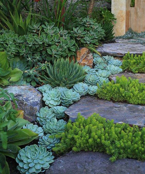 Stepping stone pathways garden idea with succulents #gardenideas #gardeningtips #landscaping #decorhomeideas #pathway