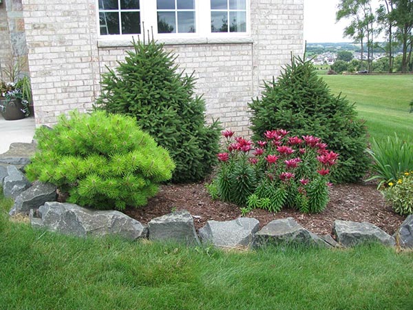 Bushes and Flowers with Natural Rock Edges #lawnedging #lawnedgingideas #landscaping #gardening #gardens #gardenideas #gardeninigtips #decorhomeideas