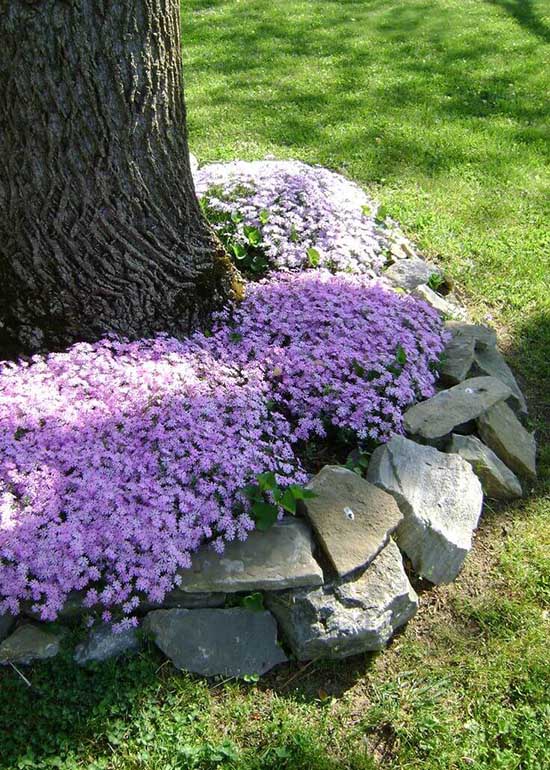 DIY Flower Bed Around Tree with purple flowers #flowerbed #flowerpot #planter #gardens #gardenideas #gardeningtips #decorhomeideas