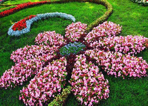 Flower Shaped Floral Garden Bed Layout #flowerbed #gardens #decorhomeideas