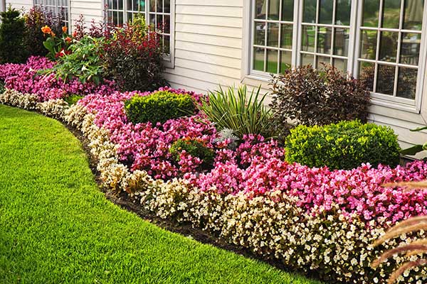 Perennial Flower Bed for Summer long Blooms #flowerbed #gardens #decorhomeideas