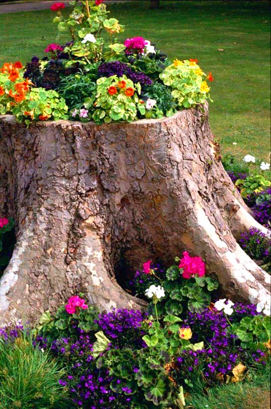 Repurposed Tree Stump Flower Bed #flowerbed #gardens #decorhomeideas