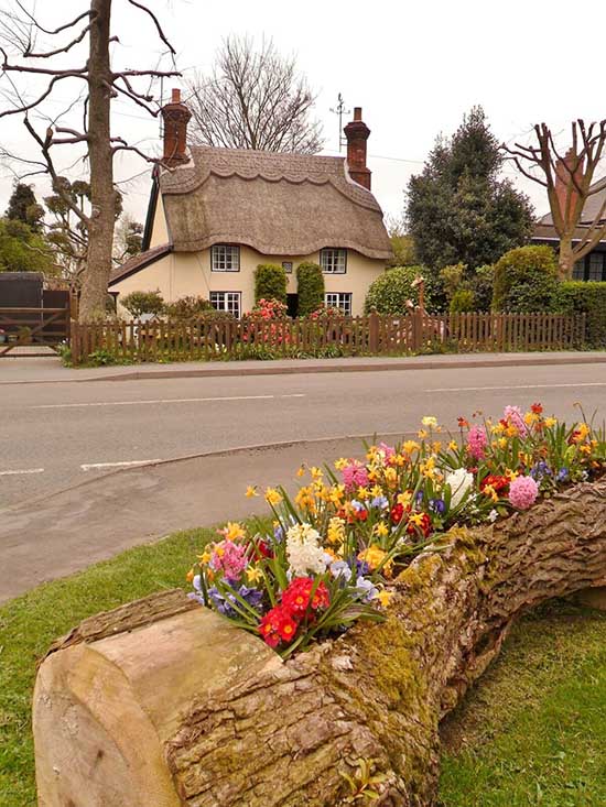 Rustic Hollow Log Flower Bed #flowerbed #gardens #decorhomeideas