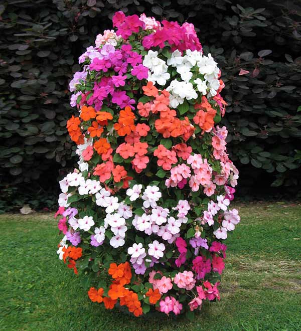 Vertical flower garden with small colorful flowers #flowerbed #gardens #decorhomeideas