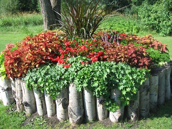 Flower bed from birch logs #flowerbed #gardens #decorhomeideas