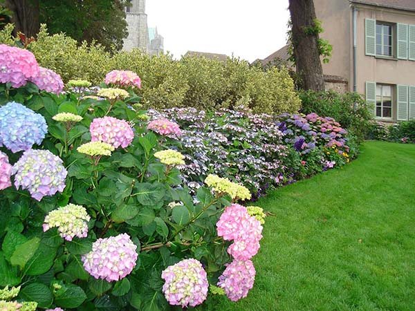 Flower arrangement for small yard or garden #flowerbed #gardens #decorhomeideas