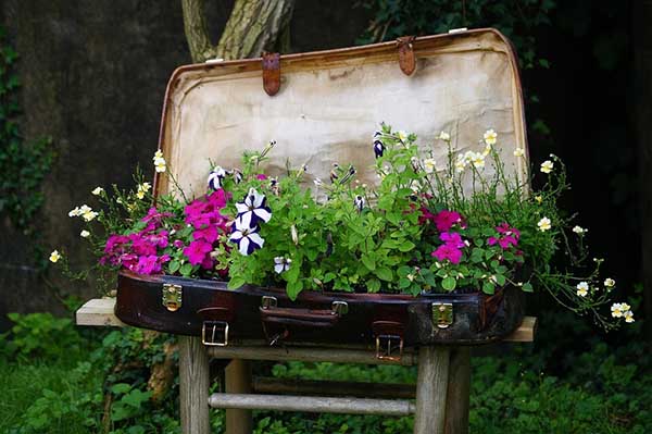 Vintage suitcase turned into flower planter #flowerbed #gardens #decorhomeideas