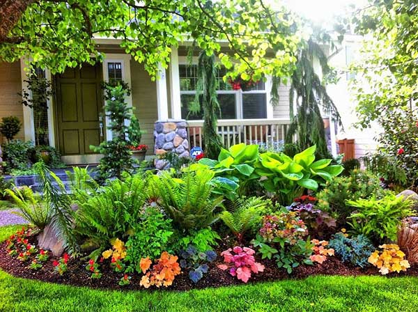 Lush green small flowers garden. #gardens #gardening #gardenideas #gardeningtips #decorhomeideas