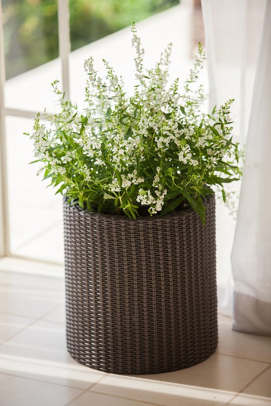 25+ Flower pot ideas - Momcrieff