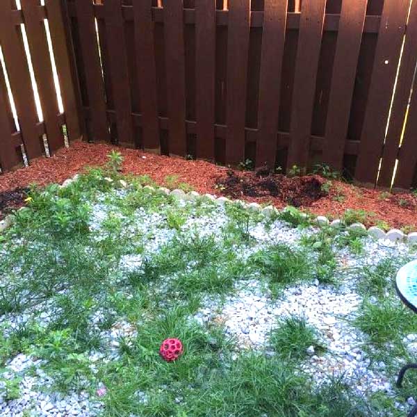 Weed backyard #diy #makeover #backyard 