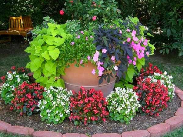 Big terra cota pot flower planter. #gardens #gardening #gardenideas #gardeningtips #decorhomeideas