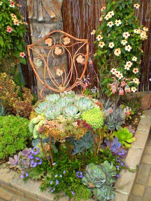 Chair planter succulent garden ideas. #succulent #succulentlove #gardens #gardening #gardenideas #gardeningtips #succulents #decorhomeideas