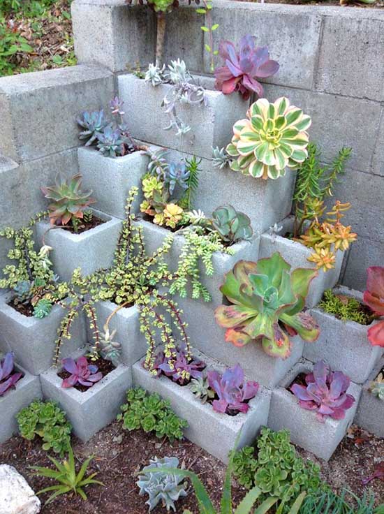 Cinder block succulent garden idea. #succulent #succulentlove #gardens #gardening #gardenideas #gardeningtips #succulents #decorhomeideas