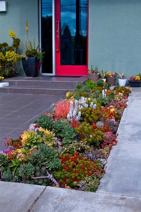 Front door succulent decoration. #succulent #succulentlove #gardens #gardening #gardenideas #gardeningtips #decorhomeideas