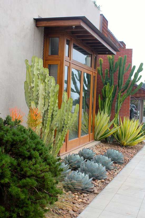 Front door succulent garden ideas. #succulent #succulentlove #gardens #gardening #gardenideas #gardeningtips #succulents #decorhomeideas