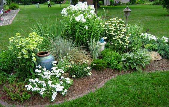 Garden idea with small white flowers and recycled items. #gardens #gardening #gardenideas #gardeningtips #decorhomeideas