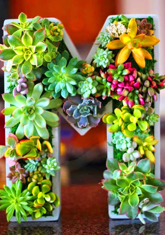 Letter planter succulent idea. #succulent #succulentlove #succulents #decorhomeideas #planter