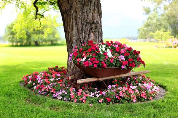 Red flowers small garden around a tree #flowerbed #flowerpot #planter #gardens #gardenideas #gardeningtips #decorhomeideas