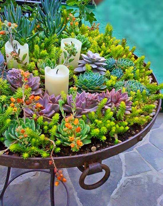 Rusty barbecue grill succulent planter. #succulent #succulentlove #gardens #gardening #gardenideas #gardeningtips #succulents #decorhomeideas