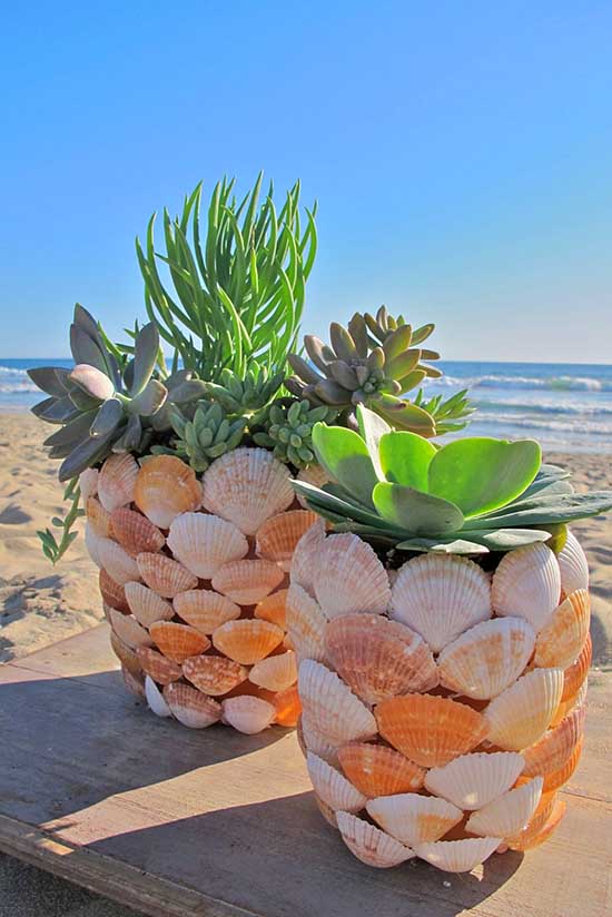 Seaside shell planter for succulents. #succulent #succulentlove #gardens #gardening #gardenideas #gardeningtips #succulents #decorhomeideas