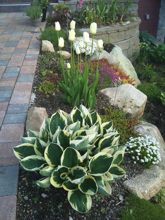 Sidewalk small garden with flowers and rocks. #gardens #gardening #gardenideas #gardeningtips #decorhomeideas