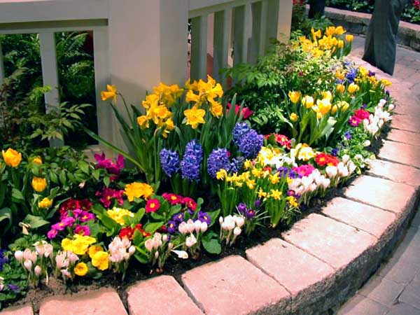 Small flowers garden just below your windows. #gardens #gardening #gardenideas #gardeningtips #decorhomeideas