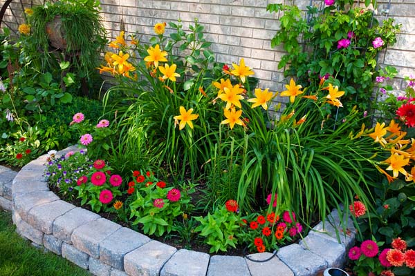 Garden with stone edging and small blossom flowers. #gardens #gardening #gardenideas #gardeningtips #decorhomeideas