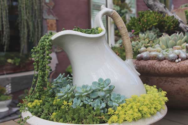 Succulent flower pot idea #flowerpot #planter #gardens #gardenideas #gardeningtips #decorhomeideas